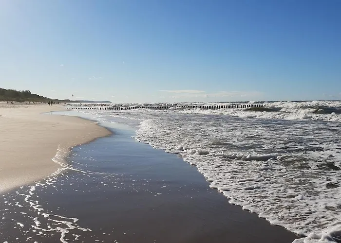 Cztery Brzozy Rum i privatbostad *